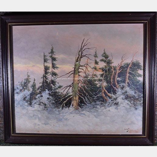 Karel Havlata - Stromy pod sněhem