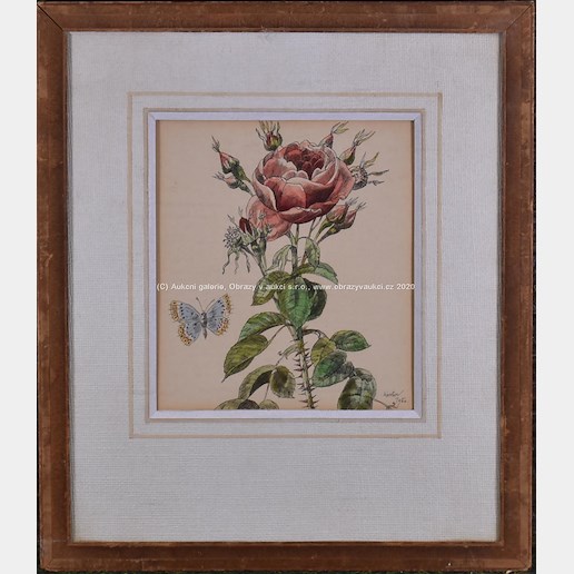 Josef Liesler - Motýl a růže