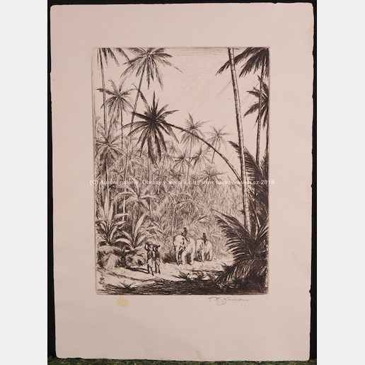 T. F. Šimon - Tropický prales na Cejlonu