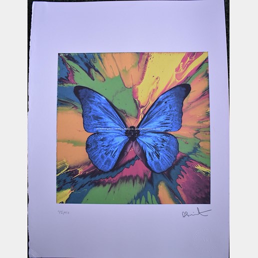 Damien Hirst - Motýl