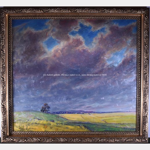 Karel Schauer - Nebe před bouří