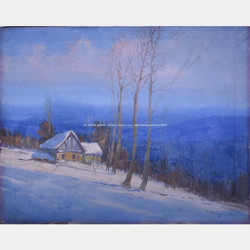 Josef Häring  - Samota v zimní krajině