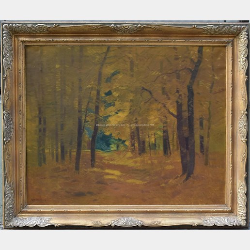 Roman Havelka - Podzimní les