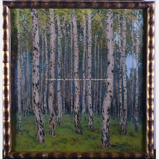 Karel Schadt - V březovém lese