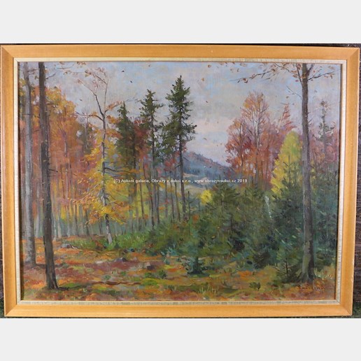 Pavel Bačovský - Podzimní les