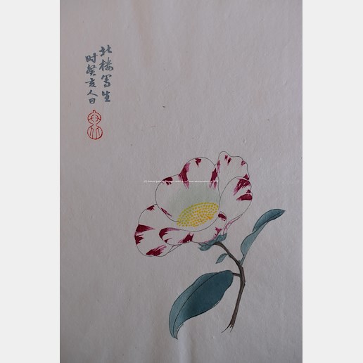 Bai-shi Qi (Čchi Paj-š´) - Květ