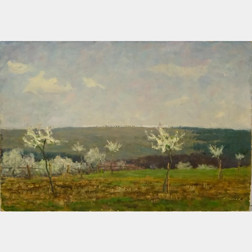 František Vlach - Rozkvetlé stromy