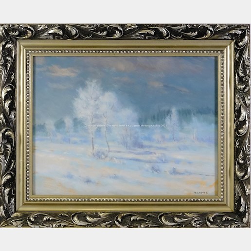 Rudolf Linhart - Zimní krajina