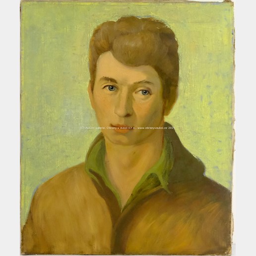 Jan Havlík - Portrét mladého muže