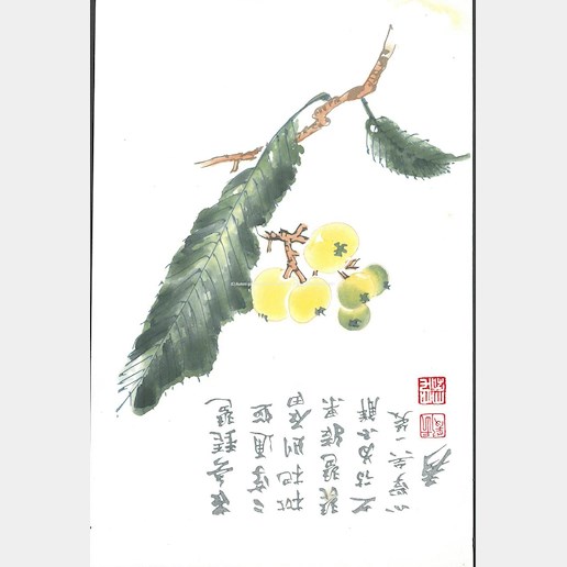 Bai-shi Qi (Čchi Paj-š´) - Čínská okrasná jabloň