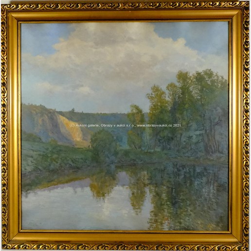 Josef Holub - Lom u řeky
