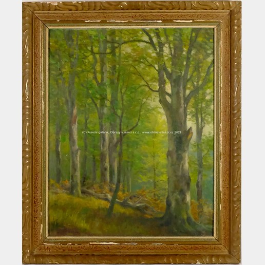 Bedřich Holáček - Stromy v lese - Hukvaldy