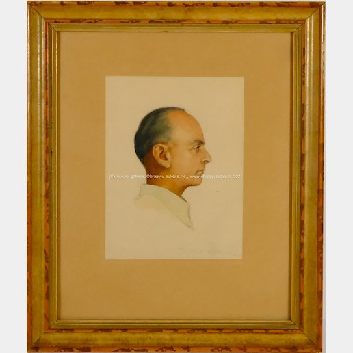 František Hlavica - Portrét muže z profilu