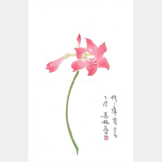Bai-shi Qi (Čchi Paj-š´) - Amaryllis belladonna