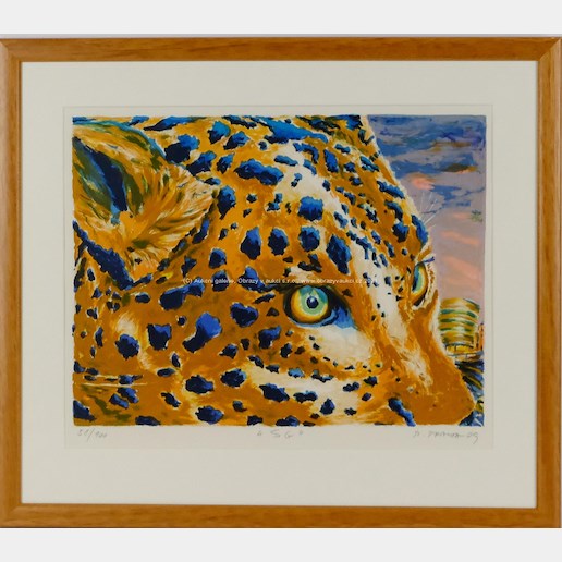 Roman Franta - Číhající gepard 