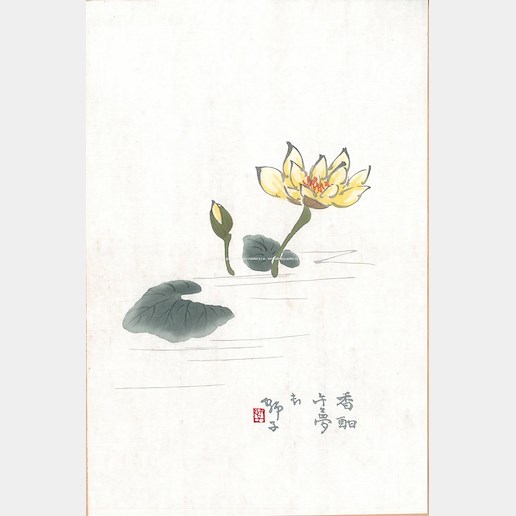 Bai-shi Qi (Čchi Paj-š´) - Lekníny
