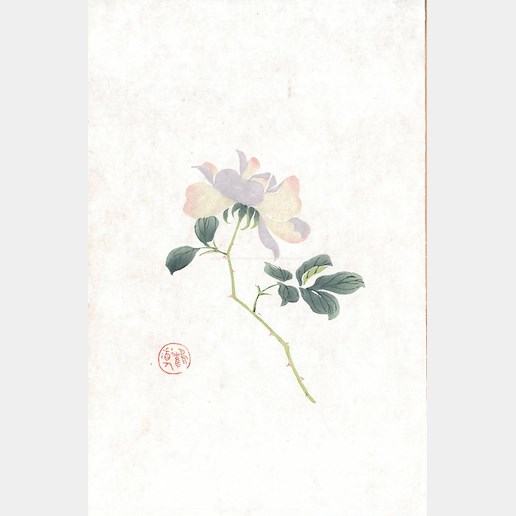 Bai-shi Qi (Čchi Paj-š´) - Růže šípková