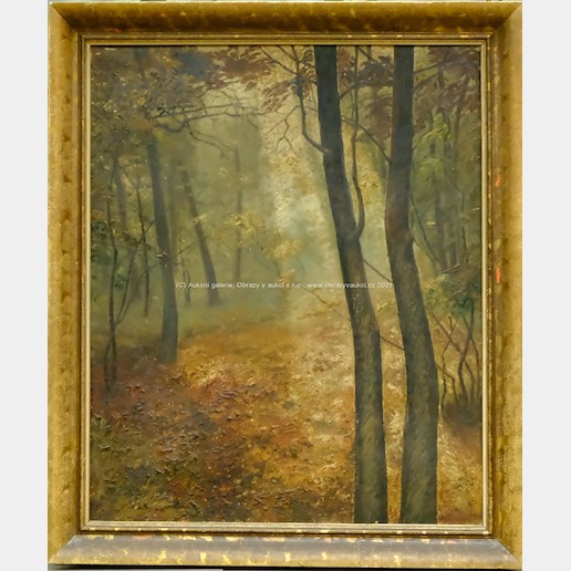 Anna Hervertová - V podzimním lese