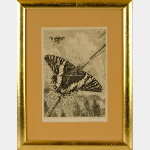 Max Švabinský - Motýl