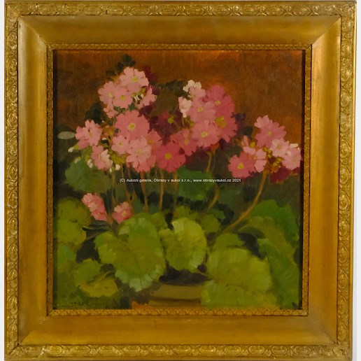 Karel Kupka - Růžové květy