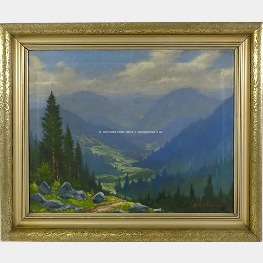 Josef Ptáček - Výhled v horách
