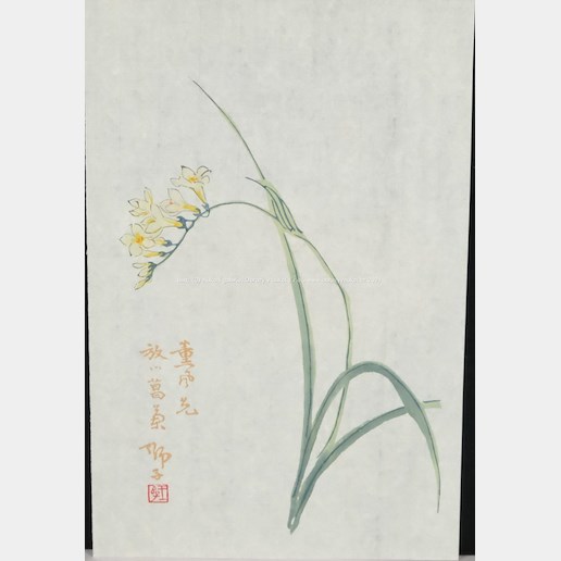 Bai-shi Qi (Čchi Paj-š´) - Čínský okrasný česnek