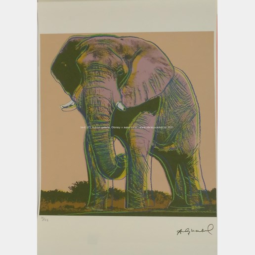 Andy Warhol - African Elephant
