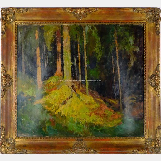 Gustav Macoun - Hluboký les