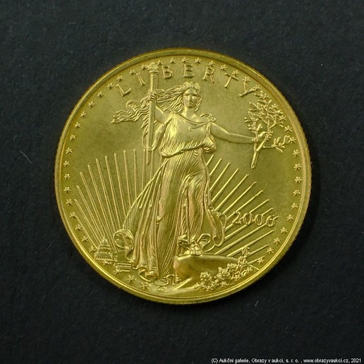 Neznámý autor - Zlatá 1/2 Uncová mince 25 USD LIBERTY USA. Zlato 999,9/1000, hrubá hmotnost 15,58 g