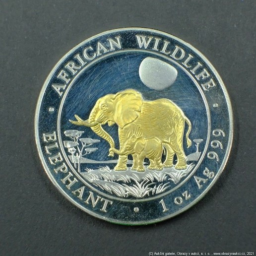 Neznámý autor - Pozlacená stříbrná  1 Uncová mince Somálsko Africká divočina SLON 2011. Stříbro 999,9/1000, zlacení - zlato 999/1000, hrubá hmotnost 31,1g