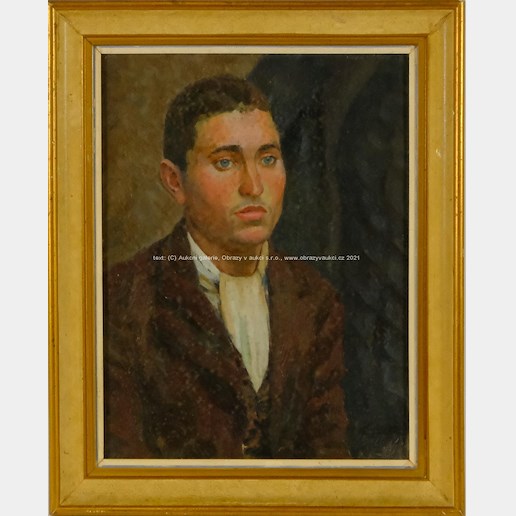Jan Malý - Portrét mladíka