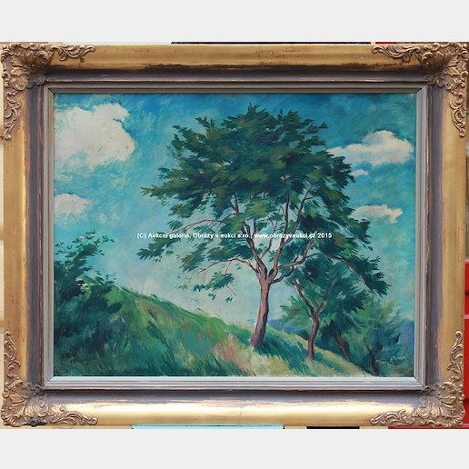 Josef Hlaváček - Osamělé stromy