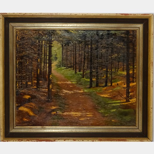 Gustav Adolf Clemens - Sluncem zalitá lesní cesta